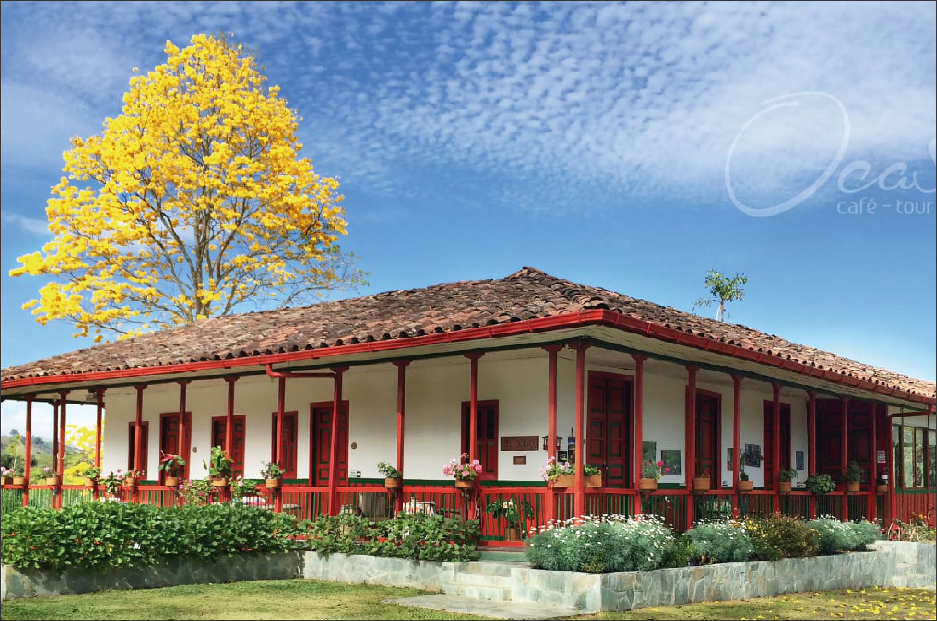 Finca Cafetera El Ocaso