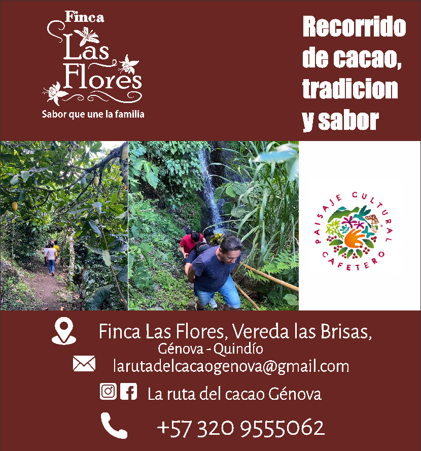 Anunciante