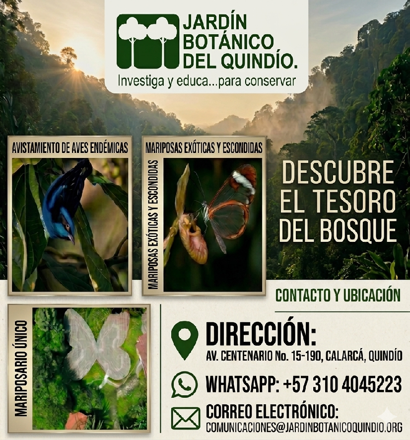 Anunciante